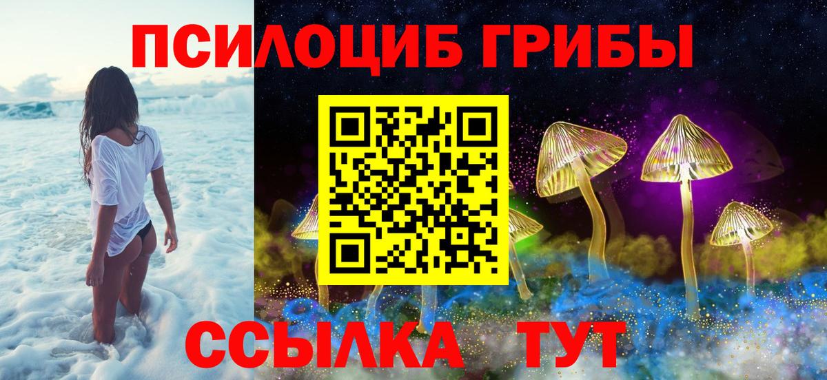 Псилоцибиновые грибы мухоморы Махачкала